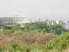 abc hawaii 2006 019.jpg (79969 bytes)