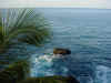 abc hawaii 2006 029.jpg (107606 bytes)