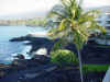 abc hawaii 2006 033.jpg (97682 bytes)