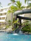 abc hawaii 2006 034.jpg (145173 bytes)