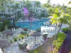 abc hawaii 2006 043.jpg (99774 bytes)