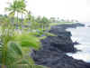 abc hawaii 2006 066.jpg (99348 bytes)
