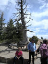 Bergan Travel - Grand Canyon