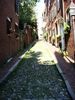 Filename=Cobblestone_Path.JPG
Filesize=136KB
Dimensions=384x512
Date added=Apr 26, 2010 Cobblestone_Path.JPG